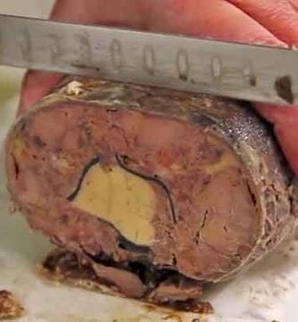 comment cuire un lievre a la royale