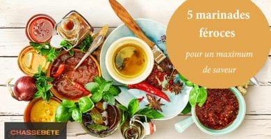 5 Recettes marinade sanglier et chevreuil